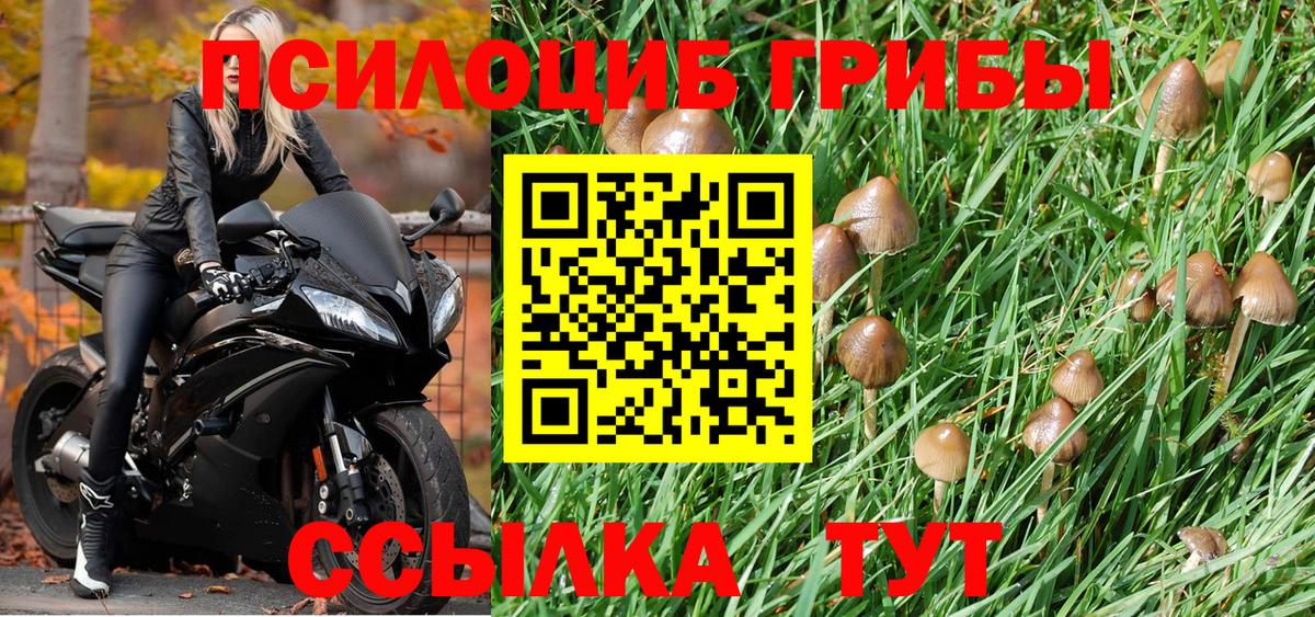 Галлюциногенные грибы GOLDEN TEACHER  Псилоцибиновые грибы MAGIC MUSHROOMS  Майкоп  Вход с VPN 